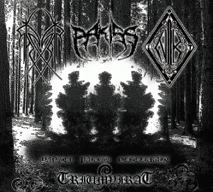 Projekt Nebelkrähe : Triumvirat